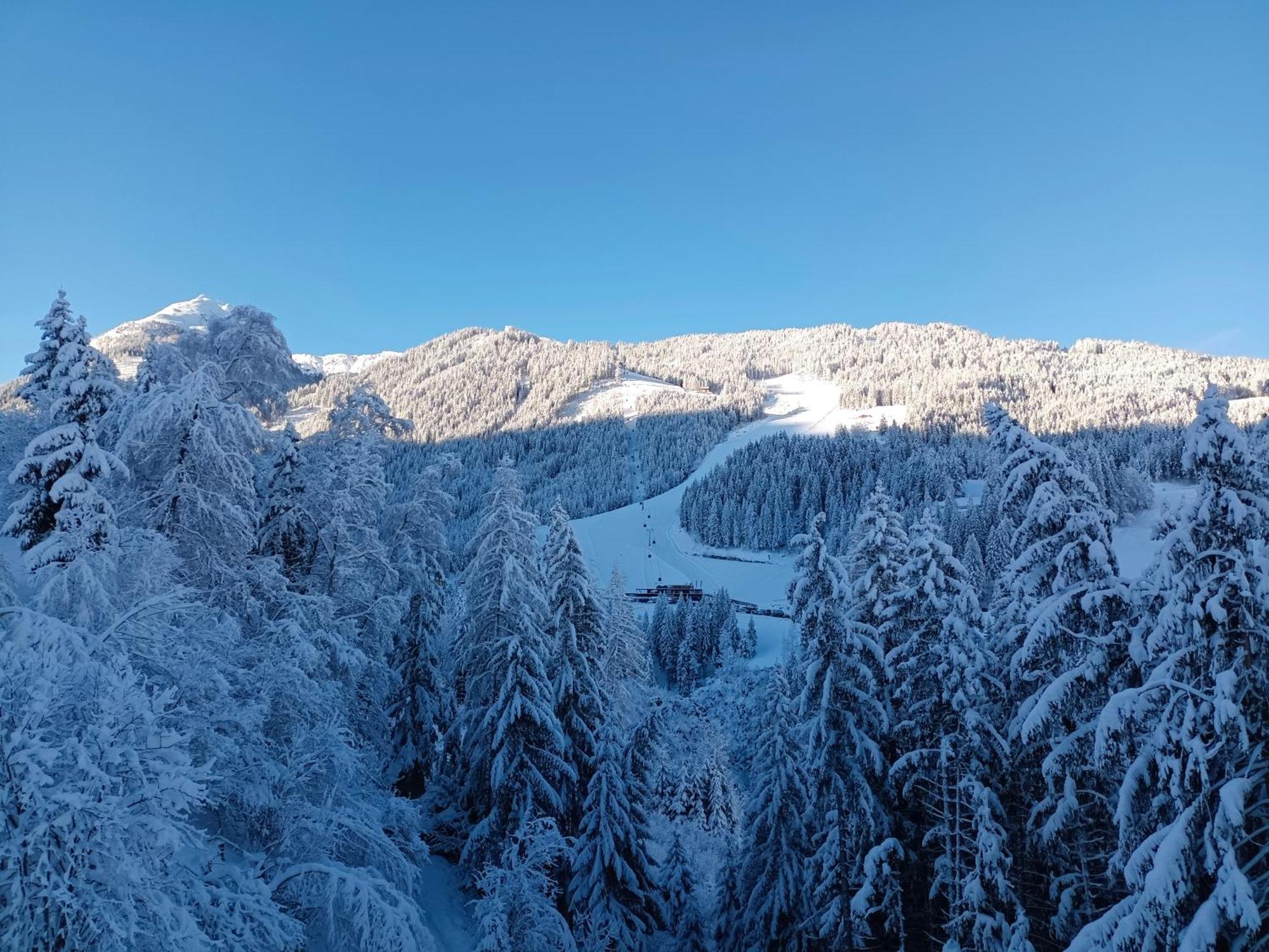 Chalet Leni Schladming Zewnętrze zdjęcie